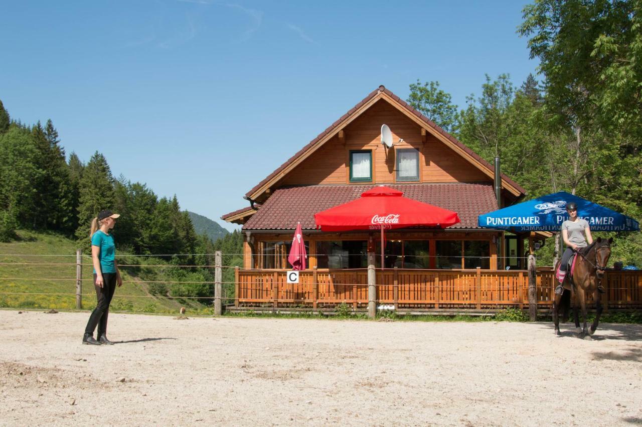 Reiterbauernhof Maho Villa Sankt Aegyd am Neuwalde Exterior foto